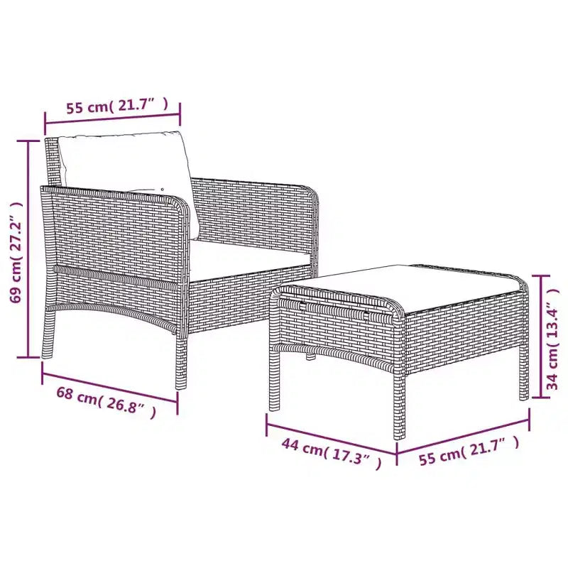vidaXL Patio Furniture Set 2 Piece Outdoor Chair with Cushions Poly Rattan