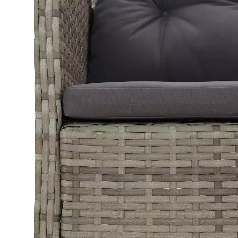 vidaXL Patio Furniture Set 2 Piece Outdoor Chair with Cushions Poly Rattan